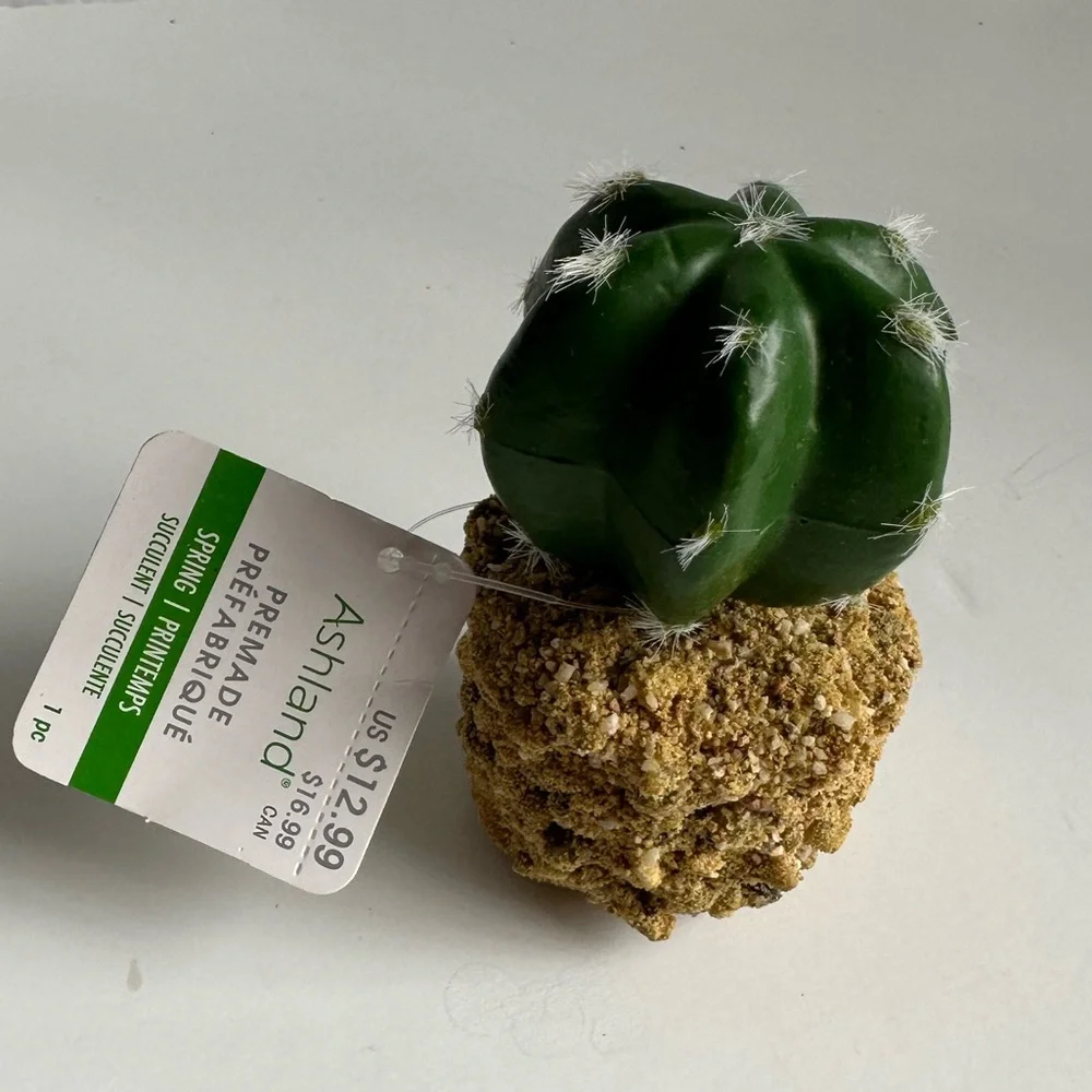 Artificial Round Cactus with Rock Base – Realistic Faux Plant for Home & Office